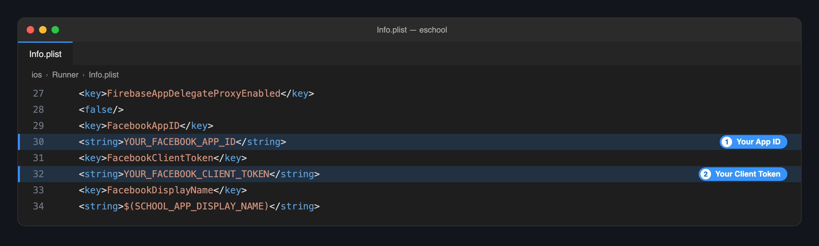 Info.plist: the Facebook App ID and Client Token